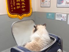 -谐和益家动物医院·免疫绝育·血液透析·宠保定点医院(高新伊藤分院)
