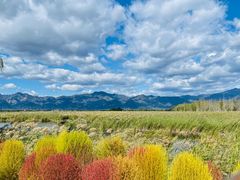 -野鸭湖国家湿地公园
