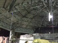 -清迈夜间动物园