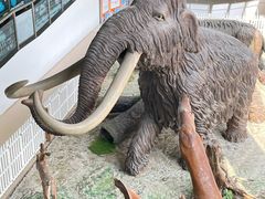 -中国第四纪冰川遗迹陈列馆