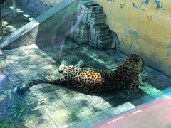 -青藏高原野生动物园