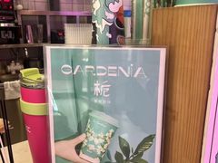 -700CC(丹东女人街店)