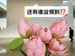 -金茂览秀城