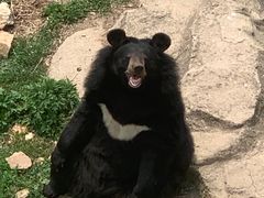 -大连森林动物园