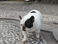 -海窝子古镇
