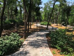 -阳台山自然风景区