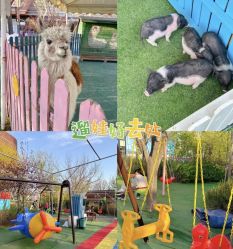 -萌宠亲子动物乐园(槐房万达店)