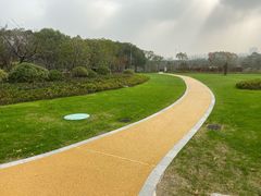 -昆山城市生态森林公园