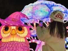 -沈阳奥体冰雪嘉年华