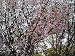 -山东大学(洪家楼校区)