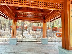 -东海森林温泉