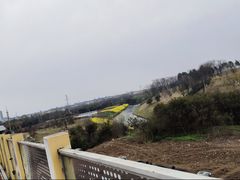 -三圣花乡旅游区