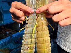 -三妹小龙虾·黄油蟹(华侨城总店)