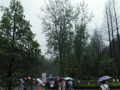 -黄海国家森林公园