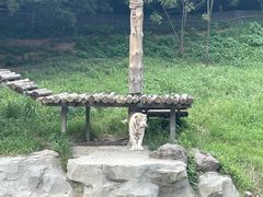 -宁波野生动物园