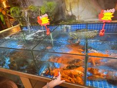-头上红煨盐鸡·非遗院子餐厅
