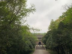 -灵谷景区
