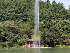 -广州白江湖森林公园