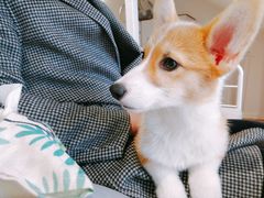 -听TA说宠咖·宠物生活馆(天韵水岸店)