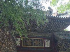 -晋祠博物馆