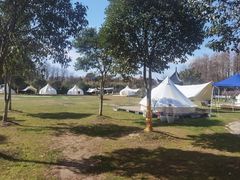 -上海海湾国家森林公园