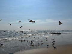 -老虎石海上公园
