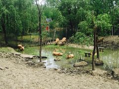 -溱湖国家湿地公园