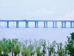-宝安西湾红树林湿地公园