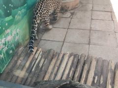 -昆明动物园