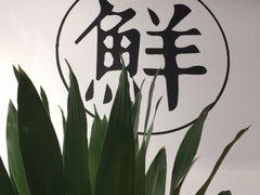 -真真老老(月河花鸟市场店)