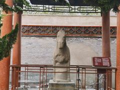 -西安碑林博物馆