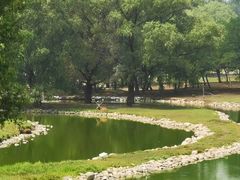 -北京麋鹿生态实验中心