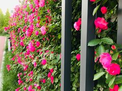 -五月花生活广场