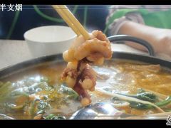 牛肉章鱼火锅-海花锅盖烧烤店(怡馨家园店)