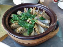 -陈鹏鹏潮汕菜(欢乐海岸 海边景观店)