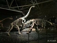 -世界恐龙谷景区