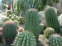 -北京植物园-展览温室