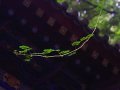 -湘子庙