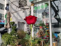-FEI FEI FLOWER鲜花店·气球派对·宝宝宴布置(虹口德必运动Loft店)