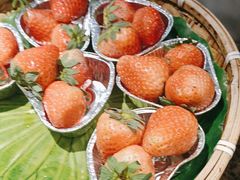 -尚宴牛特鲜自助(太原街万达店)