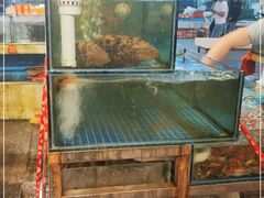 -华威西营里农产品批发市场