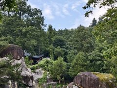 -大围山国家森林公园