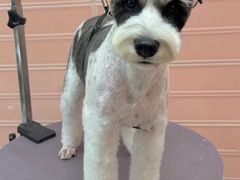 -FAELING PETS美天灵宠物(合生汇店)
