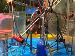 -中国杭州低碳科技馆