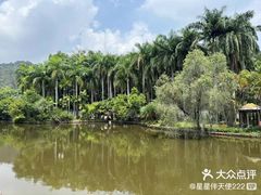 -滴水岩森林公园