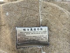 -江滩湿地公园