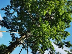 -深圳市人才园(深南大道店)