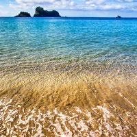 -薇兰专业脱毛连锁机构