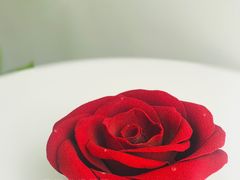 -美斯烘焙培训学院•蛋糕•面包•咖啡(宝安校区)