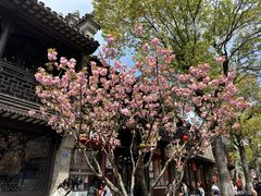 -老门东历史文化街区
